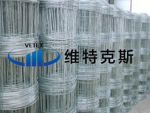 熱鍍鋅絲草原網(wǎng)